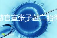 陳赫官宣張子萱二胎得女,首曬全家福長(zhǎng)相酷似媽媽